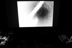 FORAGES_FIBR_StageView