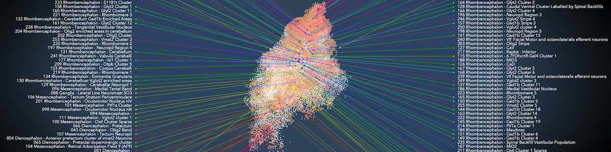 The Brain Orchestra – neural activity sonification