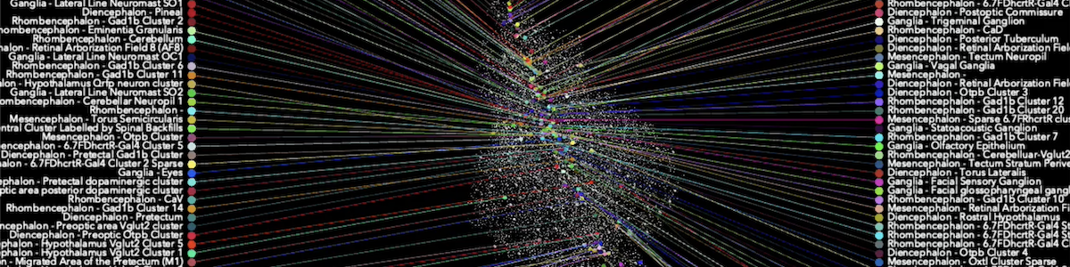 The Brain Orchestra – neural activity sonification