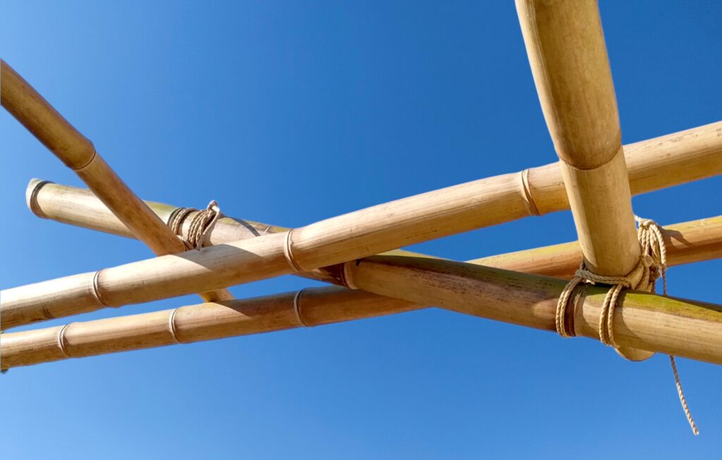 Bamboos set for Da Vinci bridge